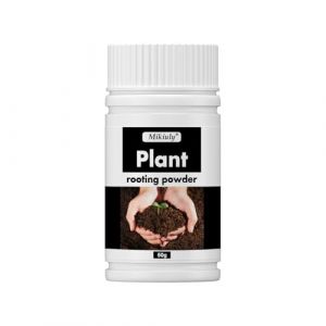 Poudre D'enracinement pour Boutures,Hormone D'enracinement, Poudre pour Bouturage & Repiquage,Poudre D'hormone D'enracinement,Hormones de Bouturage Poudre,Accélère le Développement des Racines,50g (LIYANHO, neuf)