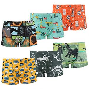 Flyish Coton Boxer Gar&ccedil;on Lot de 6 Enfant Slip Garcon Dinosaure Culotte sous-V&ecirc;tement ,4-5 ans,Multicolore,Medium (Flyish Direct EU, neuf)
