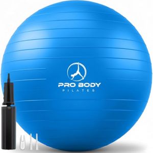 ProBody Pilates Ballon d'exercice pour Yoga, Chaise de stabilit&eacute;, Ballon d'accouchement de qualit&eacute; Gym pour Grossesse, Fitness, &eacute;quilibre, entra&icirc;nement et th&eacute;rapie Physique (Bleu, 65 cm) (ProBody Pilates EU, neuf)