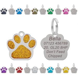 M&eacute;daille personnalis&eacute;e grav&eacute;e pour chien | M&eacute;daille pour chat | &Eacute;tiquette d'identit&eacute; pour animaux de compagnie | &Eacute;tiquettes de nom en acier inoxydable avec motif de patte scintillante de 27 mm (Orange (JK Commerce Ltd, neuf)