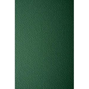 Netuno 100x papier couleur vert sapin A4 210x297mm Prisma Pino 220g papier cartonn&eacute; gaufr&eacute; une face papier d&eacute;coratif pour imprimantes d&eacute;coration scrapbooking invitations bricolage cartes de v&oelig;ux (netuno, neuf)