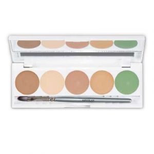 dermac OCTOCOLOR Camouflage Quintette Palette, sorti erung : DQ 6 (BeautyWellness-GB Versand Les prix comprennent la TVA, neuf)