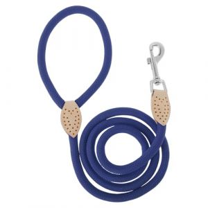 CAPASTEC Laisse pour Chien Rope D'entra&icirc;nement Rope Tress&eacute;e Ronde pour Marcher pour Chiot Petit Moyen Grand Bleu 1.25m x 1.5cm (AQDecor, neuf)