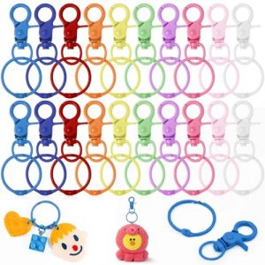 50 Pièces Anneau Porte Clef,Anneaux Porte Clé,Porte Cles,Porte Clef Mousqueton,Anneau Porte Clé,Attache Porte Clé,Mousqueton Porte Clé pour DIY (gtdance, neuf)