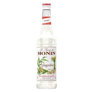 Sirop - Gingembre - 70cL (Wine And More, neuf)