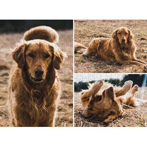 Puzzle Personnalis&eacute; avec Votre Photo 1000/500/300/120 Pi&egrave;ces Adultes et Enfants en Bois-Puzzle en personnalis&eacute; &agrave; partir de Votre Propre Image,Cadeau personnalis&eacute; - Cadeau Original (jieyangsm, neuf)