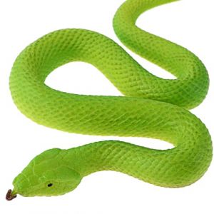 Amaxiu Figurines de Serpent élastiques, modèle de Serpent de forêt Tropicale de Serpent en Caoutchouc, Accessoires de Jardin de Faux Serpents Python pour la décoration de fête d'halloween (Vert) (Animeu, neuf)