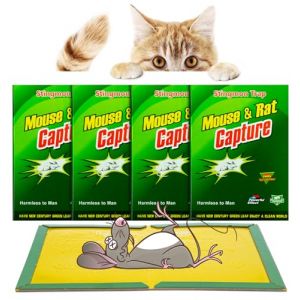 Piege a Souris | 4 Pcs Piege a Rat | Colle Souris Piege | Attrape Souris | Pi&egrave;ge &agrave; Souris | Anti Souris Efficace | Glue Souris | Anti Rongeur | Plaque Collante Souris (4 pcs) (JIAZHIHENG, neuf)