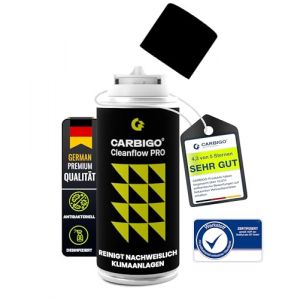 Carbigo Nettoyant Climatisation Voiture, Parfum d'Agrumes, 100 ML, Destructeur d'Odeur (1x 100ml) (Yambino, neuf)