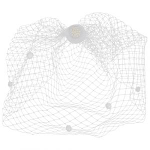COLLBATH Voile Cage &agrave; Oiseaux Blanc en Maille pour Mariage Accessoire de Coiffure de Mari&eacute;e Voilette pour Visage &Eacute;l&eacute;gant Voile Cage &agrave; Oiseaux pour C&eacute;r&eacute;monie (JianLui, neuf)