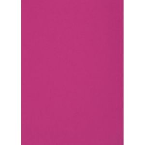 Netuno 20x carton de couleur rose fonc&eacute; A4 210 x 297mm 300g Malmero Bougainvillee papier cartonn&eacute; couleur carton de bricolage carton pour invitations travaux manuels d&eacute;coration carton imprimante (netuno, neuf)