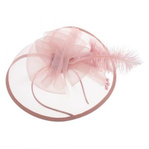 Ipetboom Serre-t&ecirc;te Bibi Pour Femme Avec Plumes Pince &agrave; Cheveux Bibi Pour Mariage Coiffe &Eacute;l&eacute;gante Et Polyvalente (Cowan Micro, neuf)