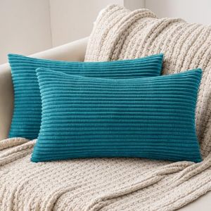 MIULEE Lot de 2 Decorative Housse de Coussin en Velours Côtelé Canapé Taie d'oreiller Douce pour Maison Salon Chambre Clic Clac 30x50cm Bleu Lac (MIULEE HOME, neuf)