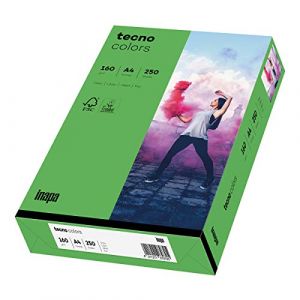 inapa Tecno Colors Lot de 250 feuilles de papier coloré 160 g/m² Vert intense Format A4 (versando®, neuf)