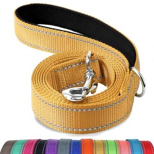 Joytale Laisse Double Face Réfléchissante Robuste pour Chien, avec Poignée Rembourée,1.8m x 2.5cm,Marron (Joytale Pet, neuf)