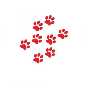 Autocollants Stickers Patte Chats Adh&eacute;sives Autocollant De Voiture de Patte 3D Patte Empreinte Stickers de Voiture Mignon D&eacute;calcomanie Sticker D&eacute;coration Pour Auto Casque Chambre Murs (Haptre, neuf)