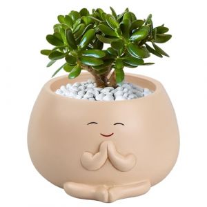 Smile Face Pot de fleurs en r&eacute;sine avec bouchon amovible en silicone pour petites plantes, plantes grasses, d&eacute;coration d'int&eacute;rieur, bureau, salle de bain 10,5 x 6,5 cm (Raretong, neuf)