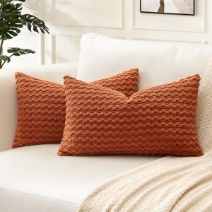 Artscope Lot de 2 Decorative Granulaire Housse de Coussin en Velours C&ocirc;tel&eacute; Canap&eacute; Taie d'oreiller G&eacute;om&eacute;trique Douce pour Maison Salon Chambre Canap&eacute; 40x60 cm Orange Fonc&eacute; (Goolee, neuf)
