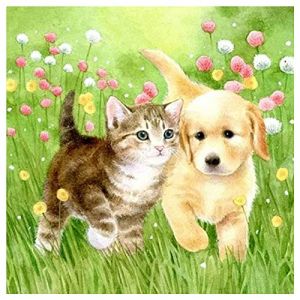 Square diamond Painting pierres carrées carre chat chien 40x40cm Images amis DIY 5D diamant peinture grande peinture par numéros adultes tableau perle diamant diamant painting complet animaux à DIY (BEIMIN, neuf)