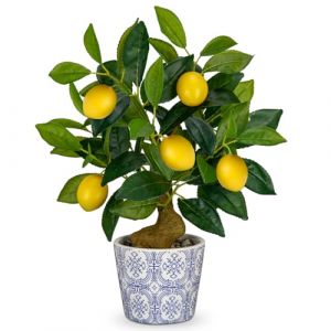 Plante artificielle décorative - Citronnier - 40 cm - En plastique - En pot - Porcelaine bleue et blanche - Plantes d'intérieur - Avec branche de citron et fruits de citron - Pour la décoration de la (CHARM's, neuf)