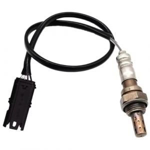 Capteur D'oxyg&egrave;ne Sonde Lambda &Agrave; Oxyg&egrave;ne Pour BMW F650GS F800GS F800GT F800R F800S F800ST K1200GT K1200R K1200S K1300GT K1300R K1300S HP2 11787672785 Sonde Lambda (DUCHUSHANGMAO, neuf)