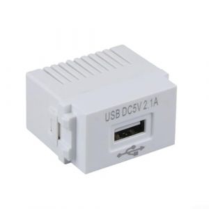 HpLive Module d'alimentation USB 220 V - Encastré - Interface - Interrupteur - Chargeur de téléphone portable - Transformateur 2,1 A - 5 V (Focuslifeshop-eu, neuf)