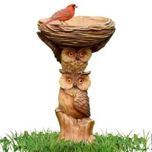 Abreuvoir Bassin Oiseaux Exterieur - Bain d'oiseaux en Résine | Mangeoire Et Abreuvoir À Oiseau De Jardin Extérieur sur Pied en Forme De Hibou avec 1 Rouge Oiseau Sculpture 22x13cm (Genikeer, neuf)