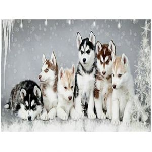 5D DIY square diamond painting grand chien husky 50x40cm diamant carré carre strass point de croix broderie cristal toile peinture puzzle diamant broderie diamant animaux animals par numéros adultes (BEIMIN, neuf)