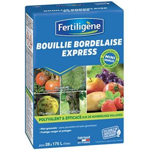 Fertiligène Bouillie Bordelaise Express Granulés, 700gr (Au Carrousel Doré, neuf)