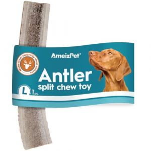 AmeizPet Os De Cerf Fendu pour Chien - Friandises Idéal Chiens Entièrement Naturelles Et, Os De Cerfs Durable A Longue Durée pour Chien, Corne Cerfs Robuste Idéal Chiens - 1 Pièce Taille L Corne Cerf (Ventus artis, neuf)