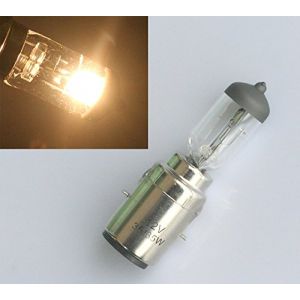 2 x Shin Yo Ampoule BA20D 12 V 35/35 W socle Bilux ampoule halog&egrave;ne ampoule de RMS (ShuoHuiTechnology, neuf)