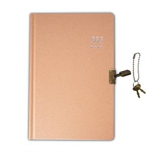 LIMEQKI Journal Intime Adulte Avec Cadenas, Carnet De Notes Vintage A5 Avec Cadenas 192 Feuilles/384 Pages En Papier Kraft Pour Femmes Et Hommes (21,5 x 14,5 x 3 cm, Marron) (DTRainbow, neuf)