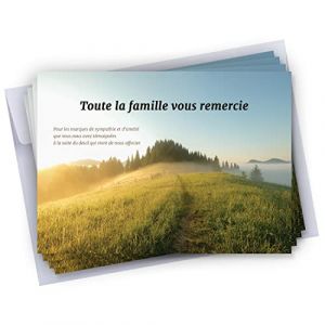 Cadeau Parfait Lot de 50 Cartes de remerciements d&eacute;c&egrave;s condol&eacute;ances + 50 Enveloppes autocollantes &bull; Visuel Montagne &bull; Format 10x15 cm (Cadeau Parfait, neuf)