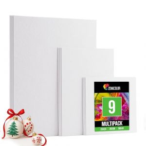 Zenacolor Toiles &agrave; Peindre - Set de 9 Canvas Coton sans Acide - Tout Type de Peinture sur Toiles (Multi Set de 9) (BMS France, neuf)