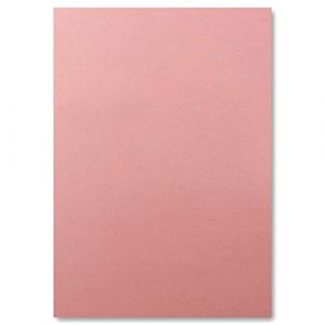 FarbenFroh by GUSTAV NEUSER 50x A4 Carton-Carte - Couleur: Vieux Rose - 210 x 297 mm - 240 g/m² - Papier Tonique Carton Photo Papier de Bricolage Carton d'argile (GUSTAV NEUSER GmbH, neuf)