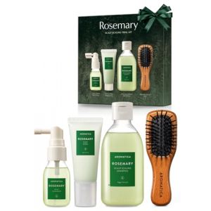 AROMATICA Kit d'essai de détartrage du cuir chevelu au romarin - Coffret cadeau -Mini brosse à cheveux en bois - [Shampoo 3.38 fl. oz. / Root Enhancer 1.01 fl. oz. / Gommage Cuir Chevelu 1.01 fl. oz.] (AROMATICA CO., neuf)