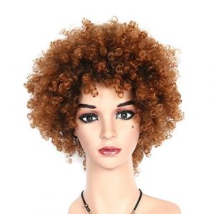 Naturelle Perruque Perruques afro courtes moelleuses crépues cheveux bouclés perruques noires pour femmes noires perruques afro bouclées perruques douces rebondissantes Cheveux Naturel (yizhishizizaichuangtou, neuf)