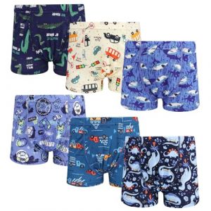 FLYISH DIRECT Cale&ccedil;on pour Gar&ccedil;on 100% Coton, 6 Pi&egrave;ces Boxer Enfant pour Gar&ccedil;on Dinosaure, Culotte Enfant Slip en Coton, Bleu, 140, 8-9 Ans (Flyish Direct EU, neuf)