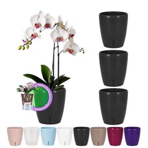 Santino Lot de 4 pots &agrave; orchid&eacute;e &agrave; arrosage automatique avec syst&egrave;me de m&egrave;che et indicateur de niveau d'eau pour l'int&eacute;rieur Diam&egrave;tre 16,5 cm Anthracite - 3,3 l) (Gartenlux, neuf)