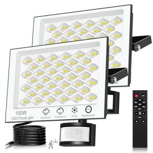 wowspeed Eclairage Exterieur avec Detecteur - 100W 10000LM Projecteur LED Ext&eacute;rieur avec T&eacute;l&eacute;commande, Dimmable 6500K Blanc Froid Spot LED Ext&eacute;rieur IP66 Etanche Spot Exterieur pour Patio 2 Pi&egrave;ces (SIXTYTHREE, neuf)