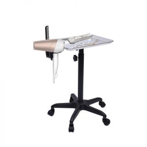 Quiltern Salon Trolleys Barber Trolley Beauté Chariot cosmétique Chariot de salon de beauté Chariot à outils avec plateau amovible (Argent) (Souluk, neuf)