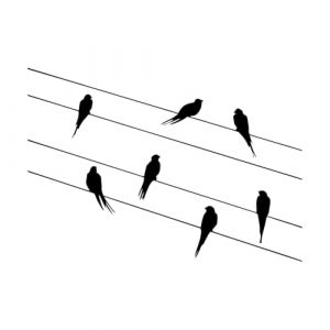 Oiseaux sur un fil Sticker mural Oiseaux D&eacute;coration murale Vol&eacute;e d'oiseaux Sticker mural pour salon Familles Autocollant en vinyle-S-28x57cm-Black (LIUJIAHAO Sticker, neuf)