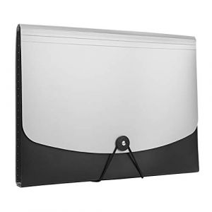 Trieur Accordéon 12 Compartiments A4 Chemise Simple Porte Document Extensible Classeur Rangement Papier avec Etiquettes Trieur à Soufflets Dossier Bureau école Portable Organiseur Pochette (IBlueloveruk, neuf)