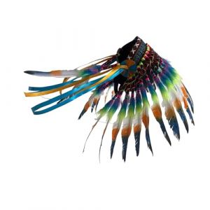 Oxtxuzdm Coiffe indienne unique &agrave; plumes pour &eacute;v&eacute;nements culturels pour les personnes &agrave; la mode et les participants &agrave; des &eacute;v&eacute;nements faits &agrave; la main (SSIFDCXXIHPI, neuf)