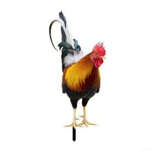 Yhenlovtt Statues et sculpture de coq de jardin, poule en métal, décoration de pelouse, œuvre d'art pour extérieur, terrasse, jardin et décoration de la cuisine (A) (Yanghaicheng, neuf)