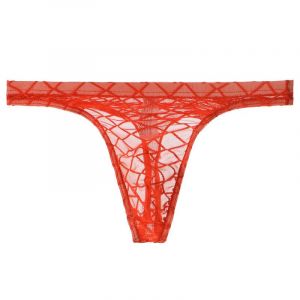 TNNRAO Hommes Strings Culottes Ultra-Mince Maille Transparent String Thongs Sexy Doux Respirant Mince Poche Hommes Culotte String Tanga (lclvld, neuf)
