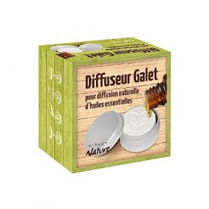 Direct-Nature Diffuseur d'Huiles Essentielles Galet - D&eacute;co Feuilles (Achatnature, neuf)