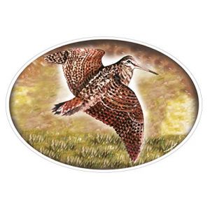 Cadox Adh&eacute;sif Becasse PM - 158 X 240Mm (Giroud Garampon, neuf)