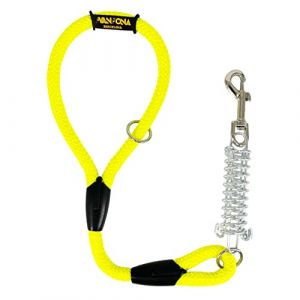 Laisse pour Chien, Amortisseur, Anti-Traction, pour Chiens de Taille Moyenne et Grande, Fabriquée en Espagne. 60cm. Jaune (AVANZONA, neuf)
