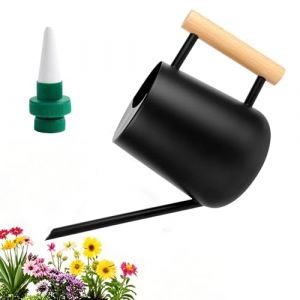 Arrosoir Plante Interieur, 1L Arrosoir en Acier Inoxydable, Arrosoir Jardin avec Long Bec et Poignée en Bois, Petit Arrosoir pour Plantes d'intérieur Extérieur (guizhouhongxianshangmao, neuf)